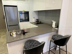 Amber Park (D15), Condominium #544953721